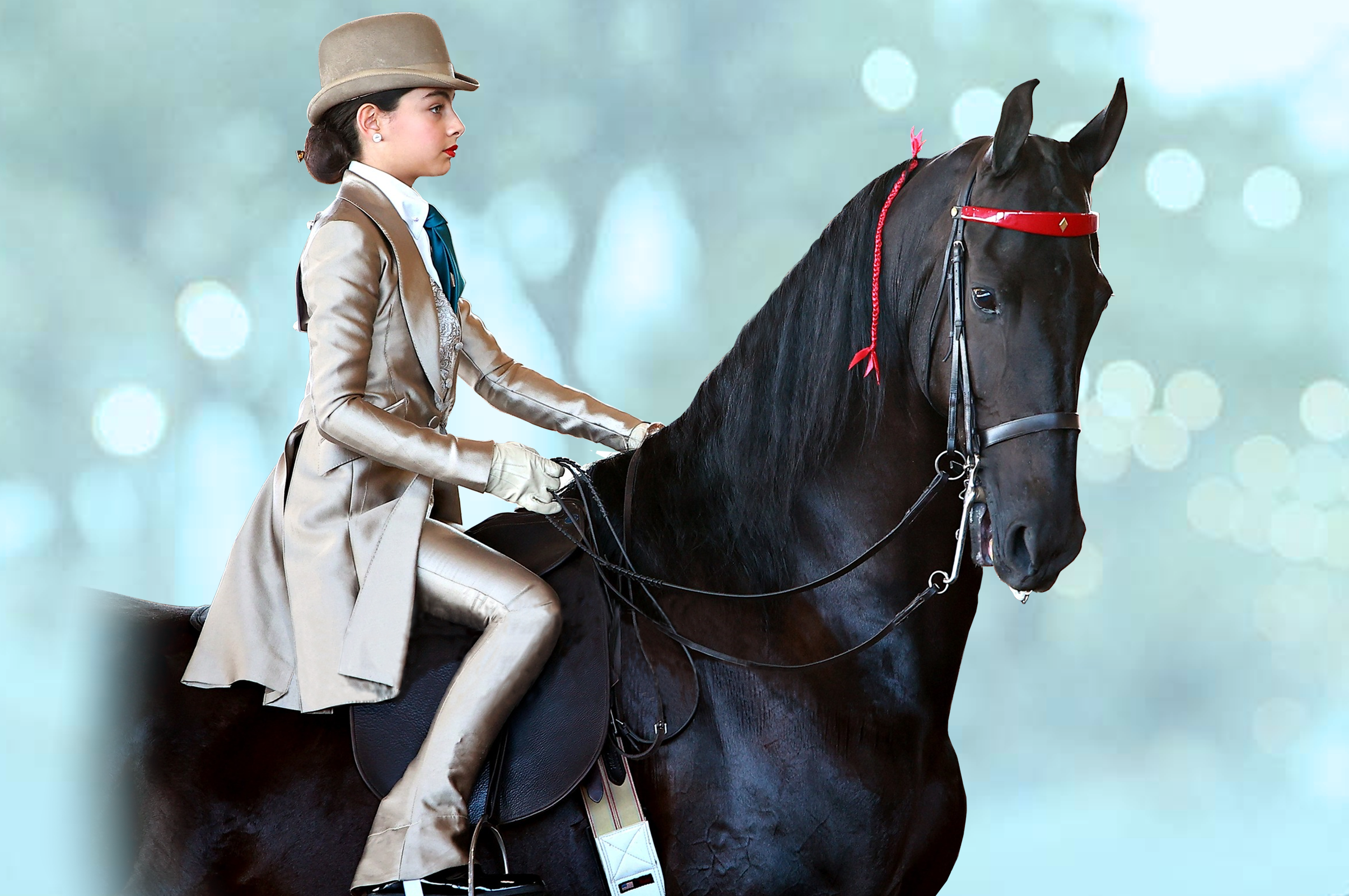 rider in custom suit on horse